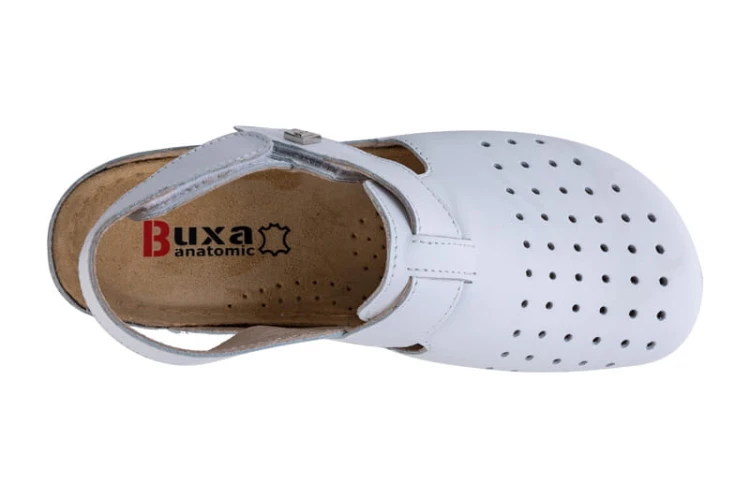 BZ241p_bialy_5.jpg