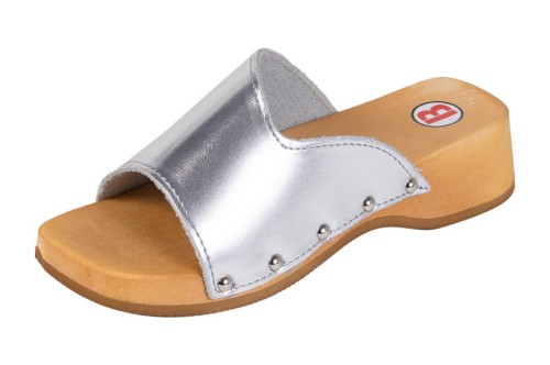 DZMO_silver_1.jpg