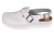 BZ421p_bialy_2.jpg