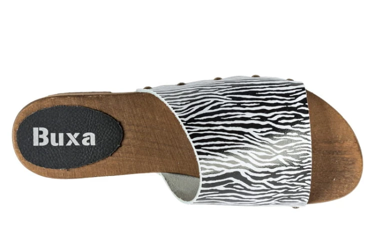 L40_zebra_5.jpg