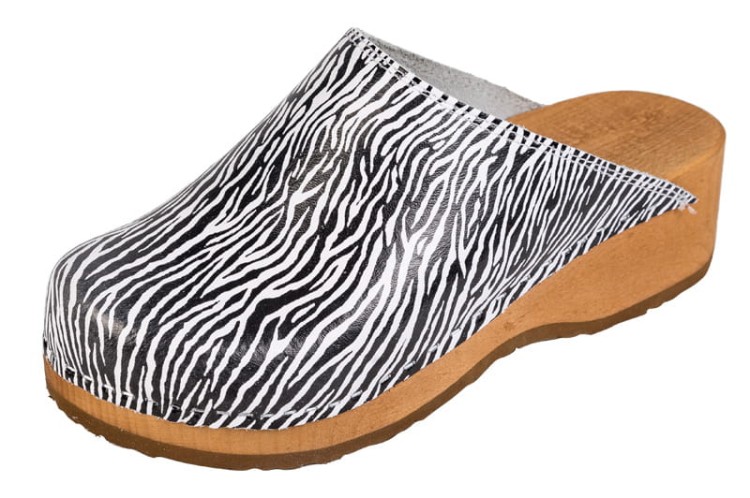 PZM1_zebra_1.jpg