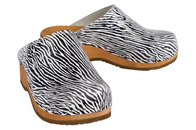 PZM1_zebra_4.jpg