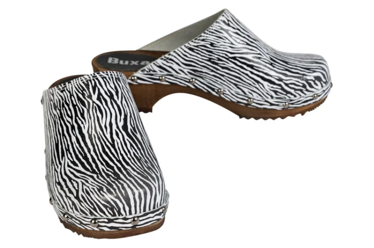 PE10_zebra_4.jpg