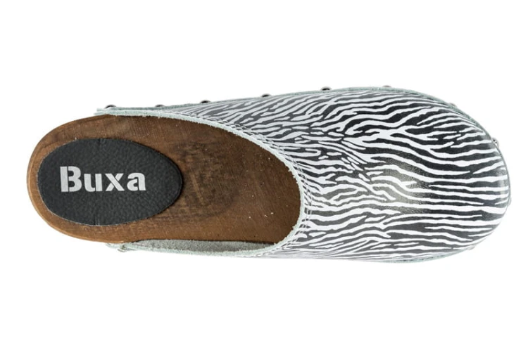 PE10_zebra_5.jpg
