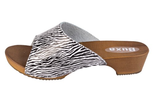 W40_zebra_2.jpg
