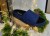BZ156_granatowy_filc_1.jpg