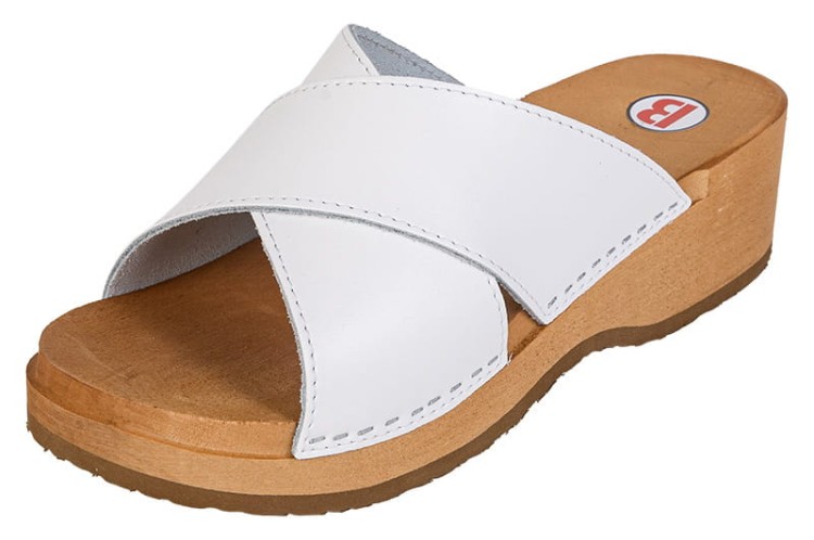 PZM6_bialy_1.jpg